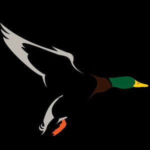 Meet your Posher, Reid